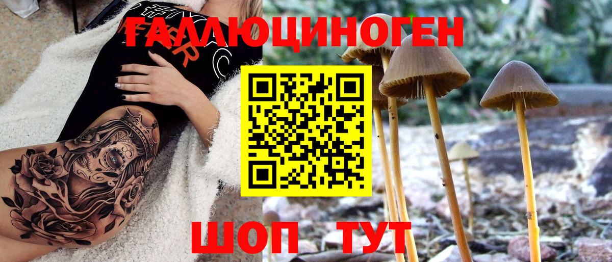 Псилоцибиновые грибы Magic Shrooms Пугачёв